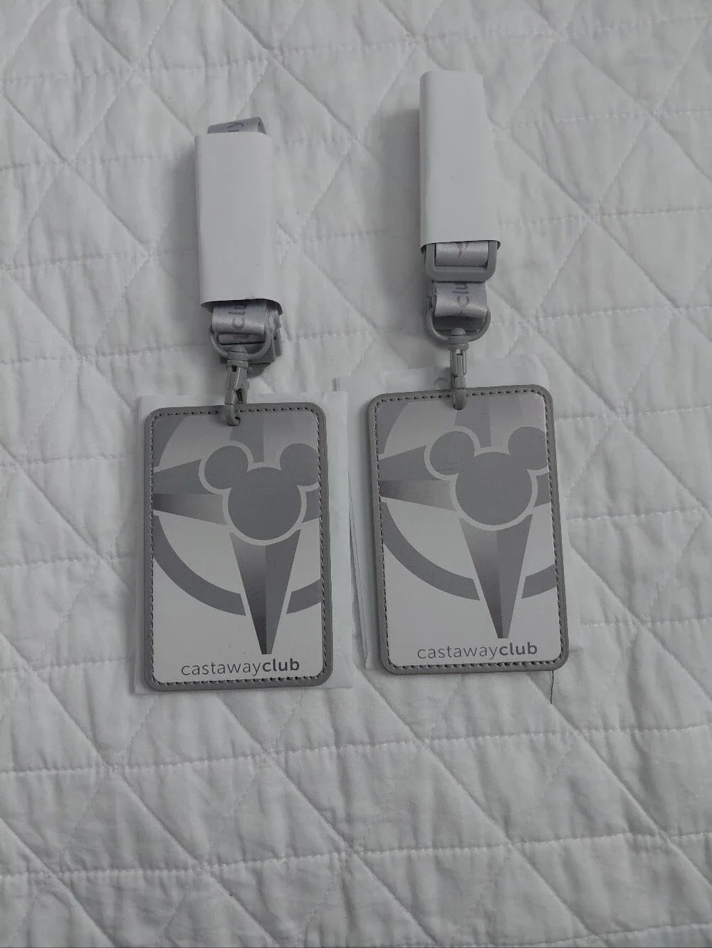 Set Of Two Disney Castaway Club Gray Lineyard - Gray